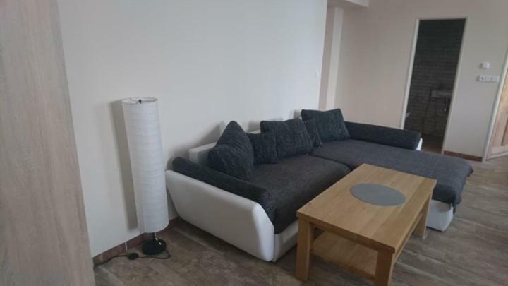 Apartament Business Apartman Žamberk Zewnętrze zdjęcie